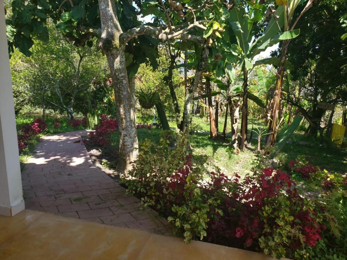 Hotel Campestre Villa Nico Bochalema المظهر الخارجي الصورة