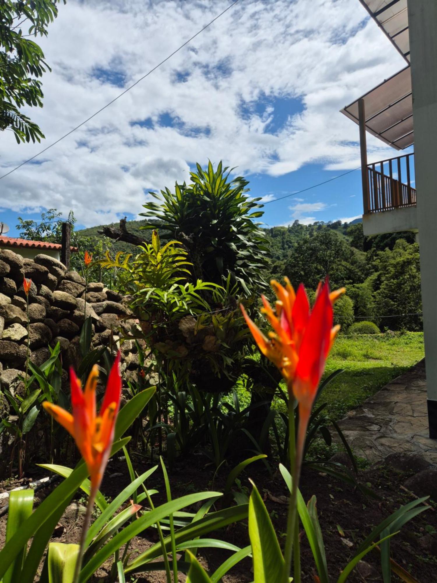 Hotel Campestre Villa Nico Bochalema المظهر الخارجي الصورة