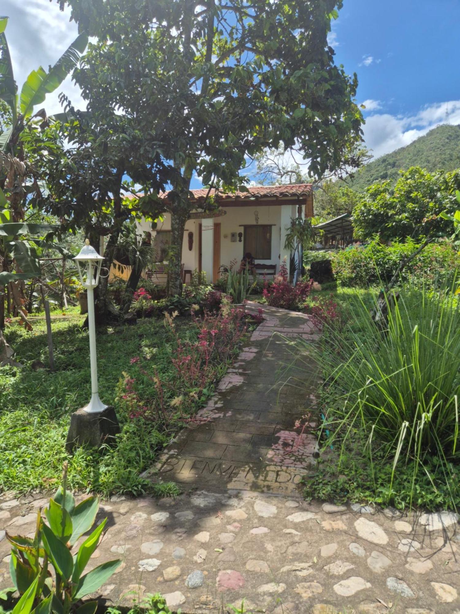 Hotel Campestre Villa Nico Bochalema المظهر الخارجي الصورة